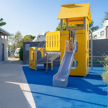 Medora Orbis Pitches