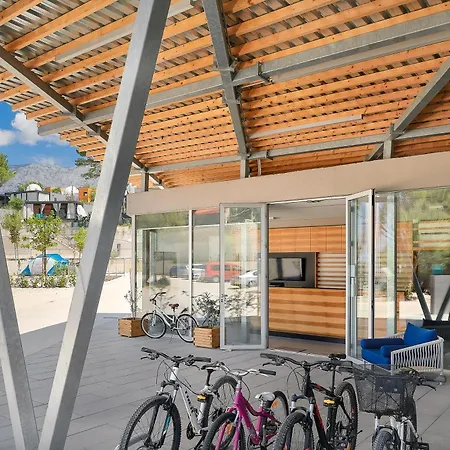 Medora Orbis Pitches *